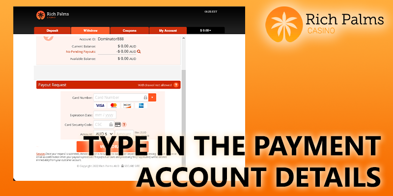 Type in the payment account details at richpalms casino